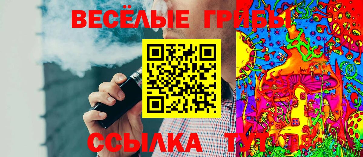 Псилоцибиновые грибы Psilocybe Красноармейск