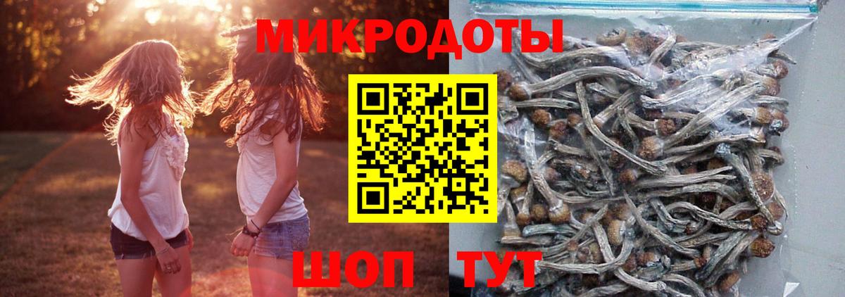 где найти   Псилоцибиновые грибы ЛСД  Вход с VPN  Красноармейск 