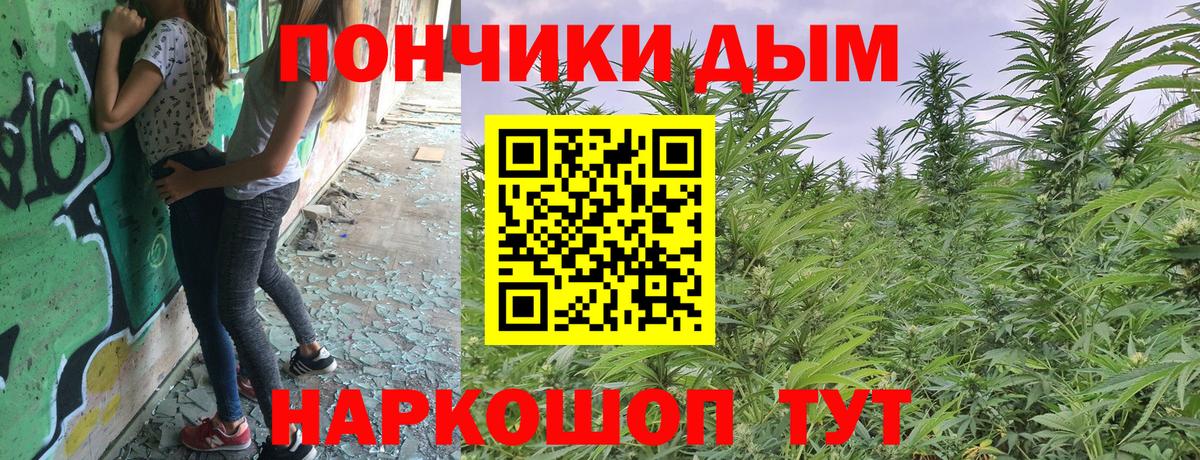 Конопля гибрид Красноармейск